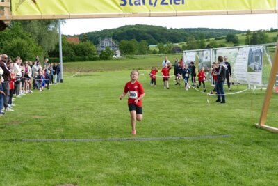 Foto des Albums: Crosslauf 2026