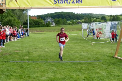 Foto des Albums: Crosslauf 2026