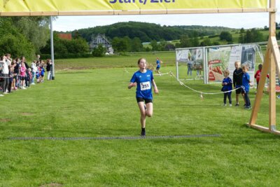 Foto des Albums: Crosslauf 2026