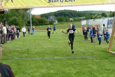 Foto des Albums: Crosslauf 2026