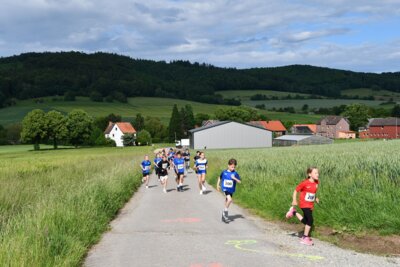 Foto des Albums: Crosslauf 2026