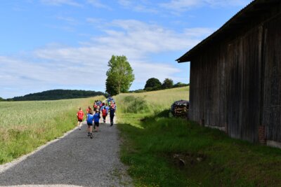Foto des Albums: Crosslauf 2026