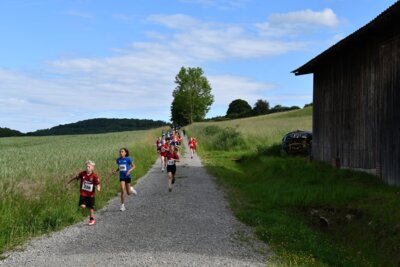 Foto des Albums: Crosslauf 2026