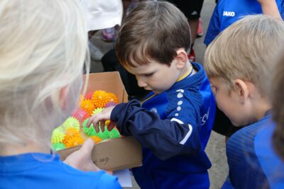 Foto des Albums: Crosslauf 2026