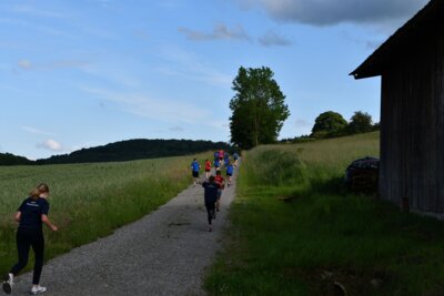 Foto des Albums: Crosslauf 2026