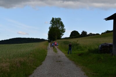Foto des Albums: Crosslauf 2026