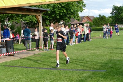 Foto des Albums: Crosslauf 2026