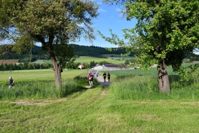 Foto des Albums: Crosslauf 2026