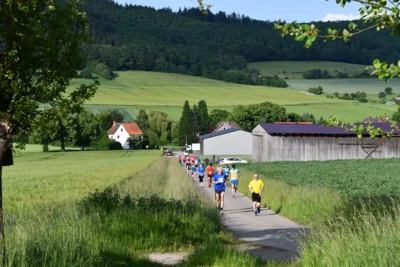 Foto des Albums: Crosslauf 2026