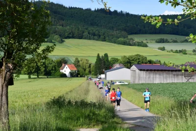Foto des Albums: Crosslauf 2026