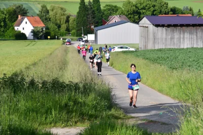 Foto des Albums: Crosslauf 2026