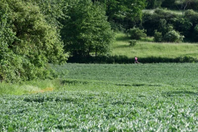 Foto des Albums: Crosslauf 2026