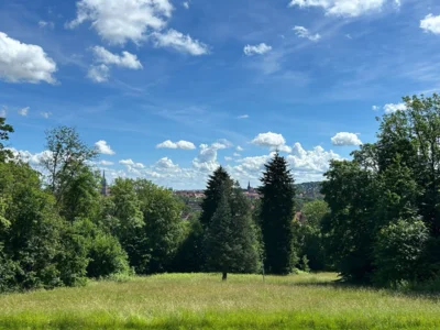 Foto des Albums: „Das gleiche noch einmal?“
