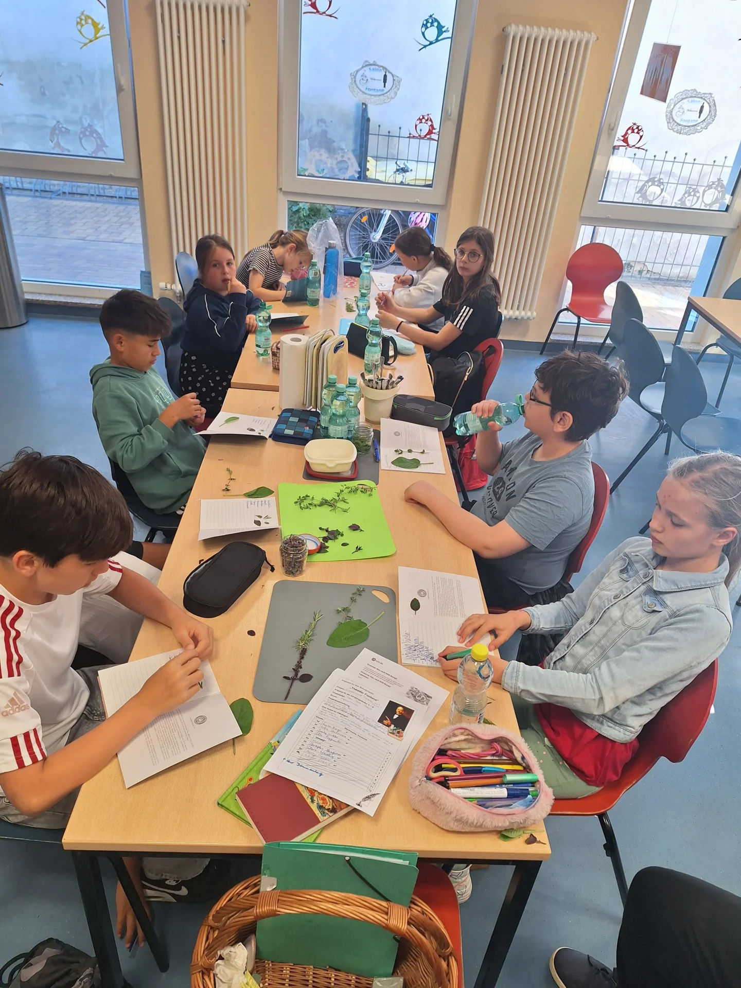 Bild der Galerie