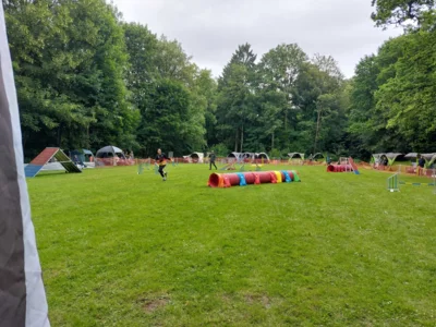 Schnell durch den Parcours  (Bild vergr&ouml;&szlig;ern)
