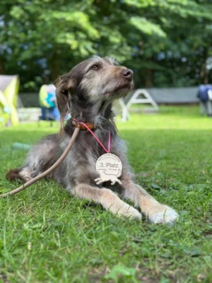 Lotte pr&auml;sentiert stolz ihre Medaille  (Bild vergr&ouml;&szlig;ern)