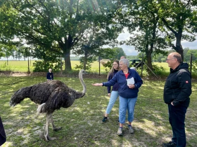 Foto des Albums: Biogut Bauck