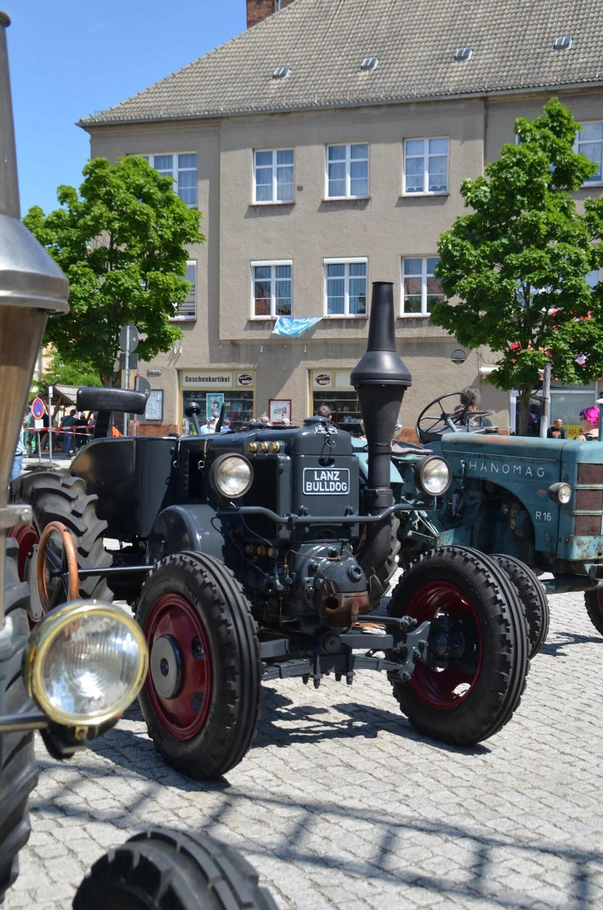 Bild der Galerie