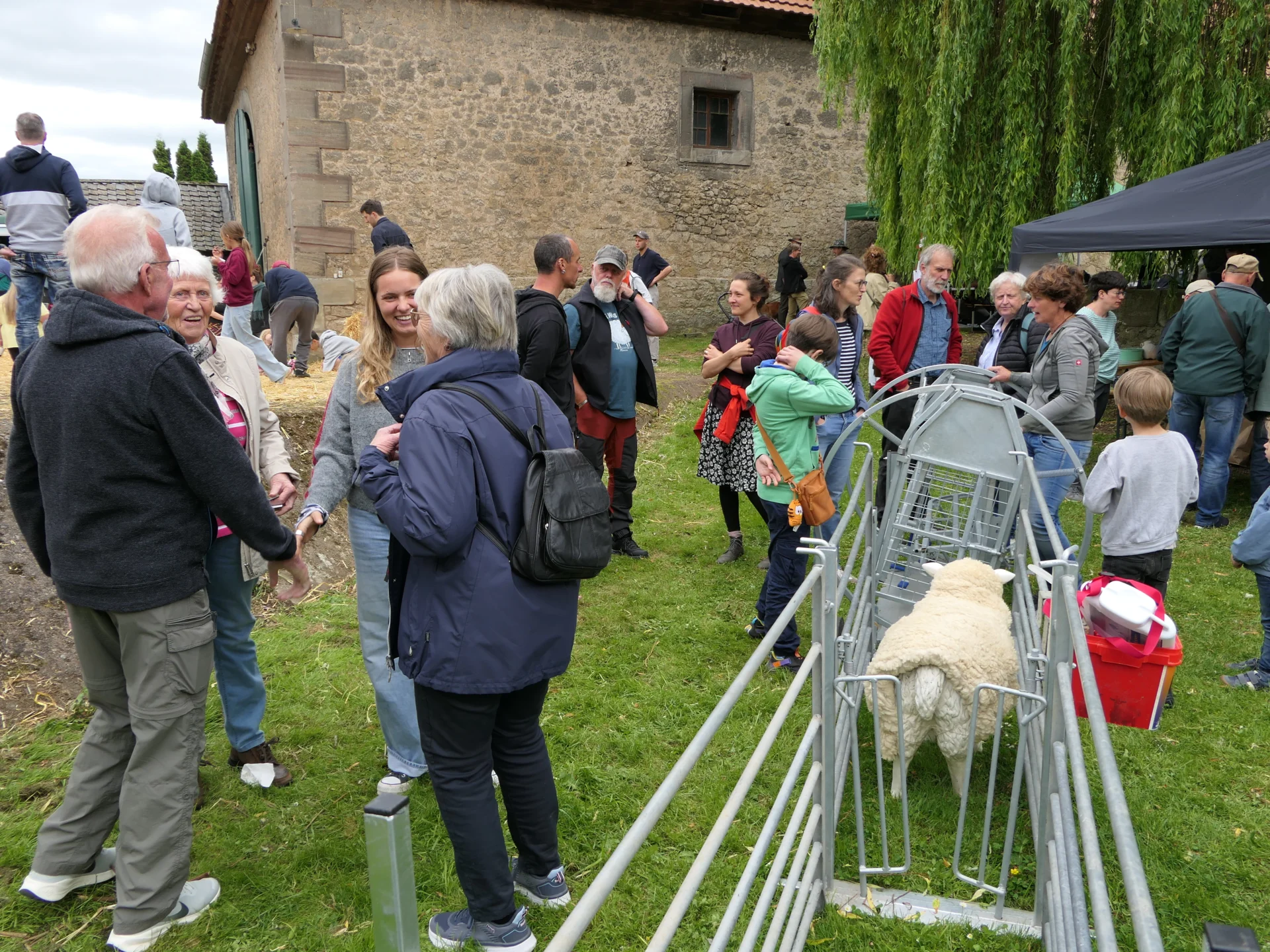 Bild der Galerie