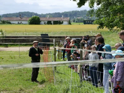 Foto des Albums: Schäferfest 2026 auf dem Hofgut Klein Schneen