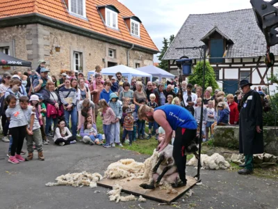 Foto des Albums: Schäferfest 2026 auf dem Hofgut Klein Schneen