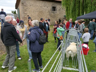 Foto des Albums: Schäferfest 2026 auf dem Hofgut Klein Schneen