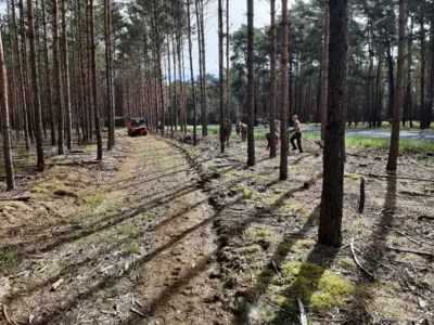 Foto des Albums: Dritter Patenschaftstag der Bundeswehr mit der Gemeinde Borkheide