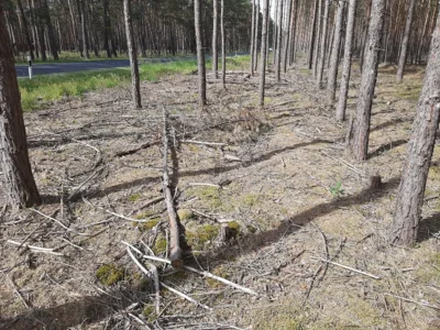 Foto des Albums: Dritter Patenschaftstag der Bundeswehr mit der Gemeinde Borkheide