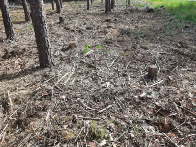 Foto des Albums: Dritter Patenschaftstag der Bundeswehr mit der Gemeinde Borkheide