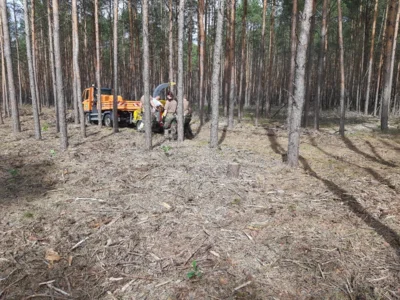 Foto des Albums: Dritter Patenschaftstag der Bundeswehr mit der Gemeinde Borkheide