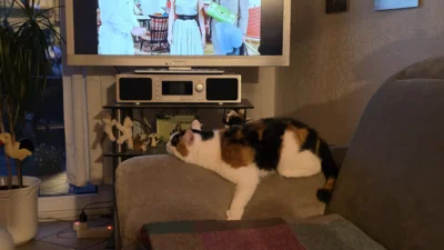 Foto des Albums: Minka