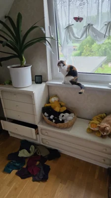 Fotoalbum Minka