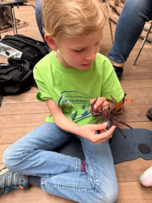 Foto des Albums: Wandertag Klasse 1 und Klasse 3