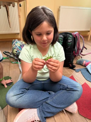 Foto des Albums: Wandertag Klasse 1 und Klasse 3