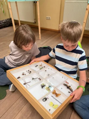 Foto des Albums: Wandertag Klasse 1 und Klasse 3