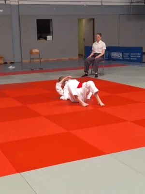 Foto des Albums: Judo-Bezirkseinzelmeisterschaft U15