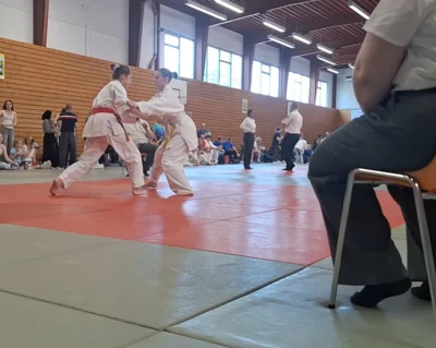 Foto des Albums: Judo- Monster Cup