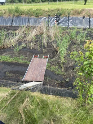 Foto des Albums: Tierrettung