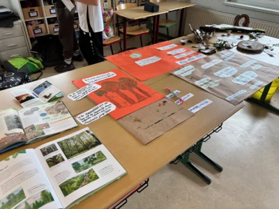 Foto des Albums: Projekttage 