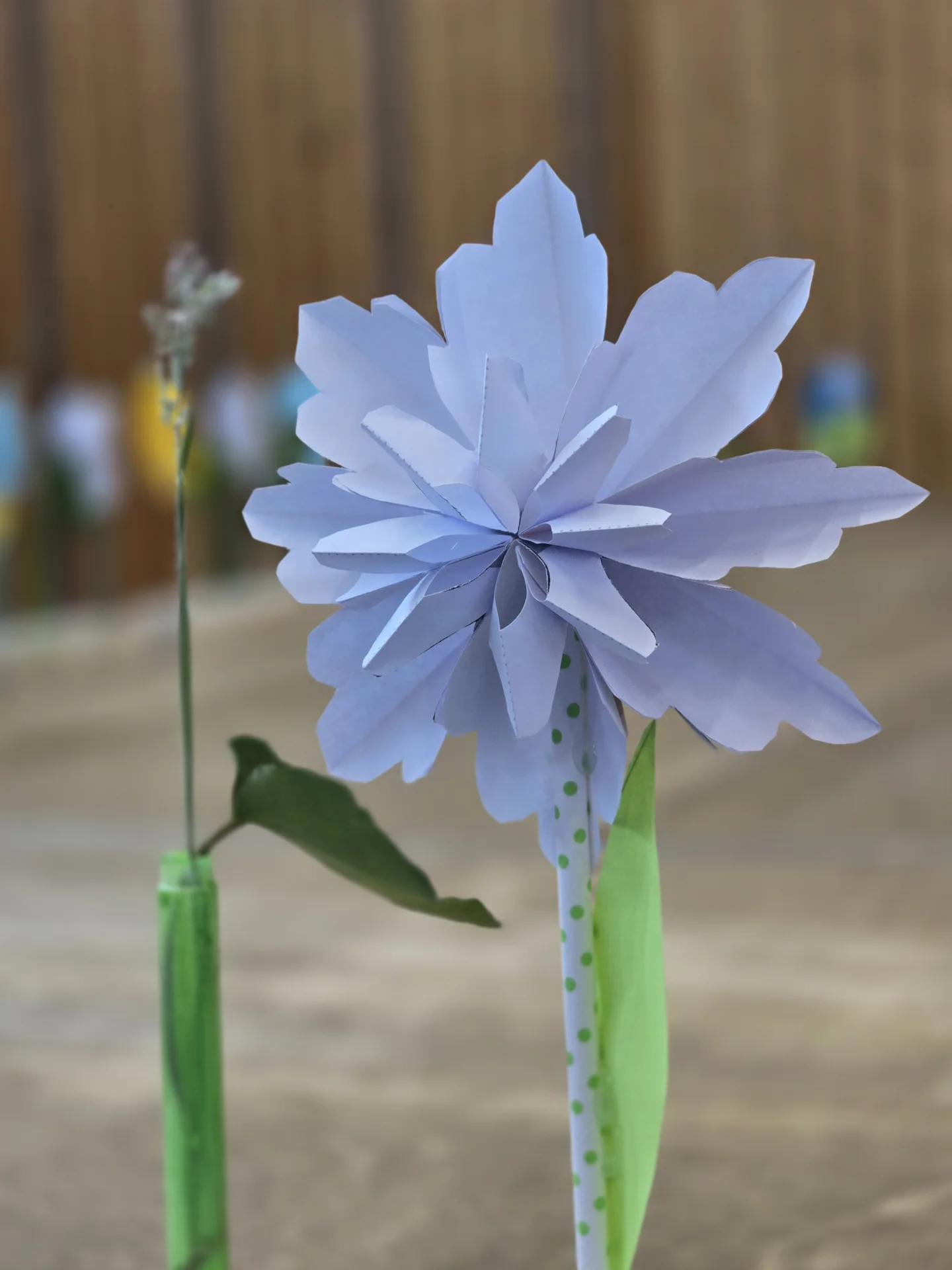 Bild: Papierblume