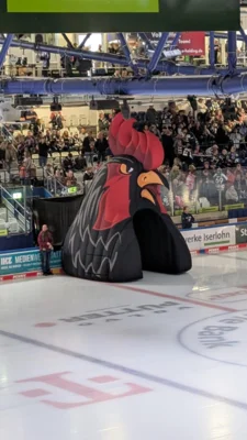Foto des Albums: Eishockey
