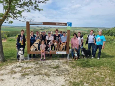 Foto des Albums: Walk, Talk & Paws - Hiwweltour