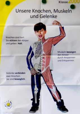 Foto des Albums: Klaro besucht die Klasse 1