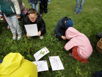 Vorschaubild: 20260609 Projekttag Benndorf Uetersen (1)