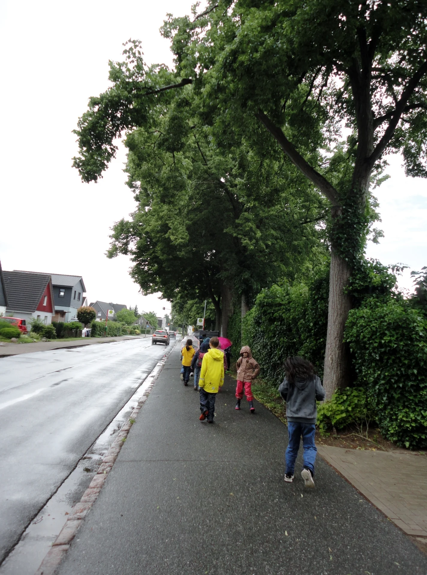 Bild: 20260609 Projekttag Benndorf Uetersen (3)