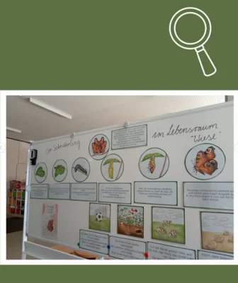 Foto des Albums: 🌼🦋 Projekt in der Vorschule: Lebensraum Wiese 🦋🌼