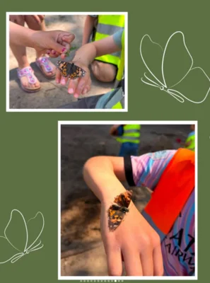 Foto des Albums: 🌼🦋 Projekt in der Vorschule: Lebensraum Wiese 🦋🌼