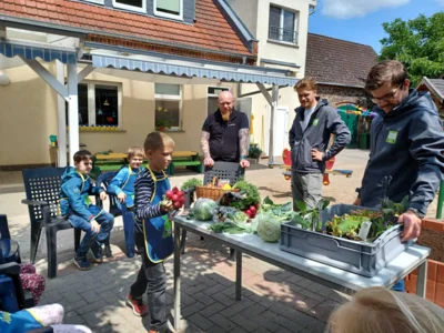 Vorschaubild: Hochbeet