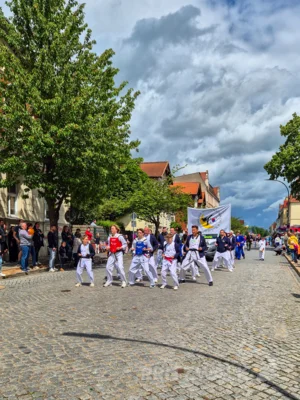 Foto des Albums: Festumzug zu 770 Jahre Stadtrecht - Teil 1