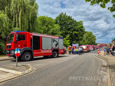 Foto des Albums: Festumzug zu 770 Jahre Stadtrecht - Teil 1